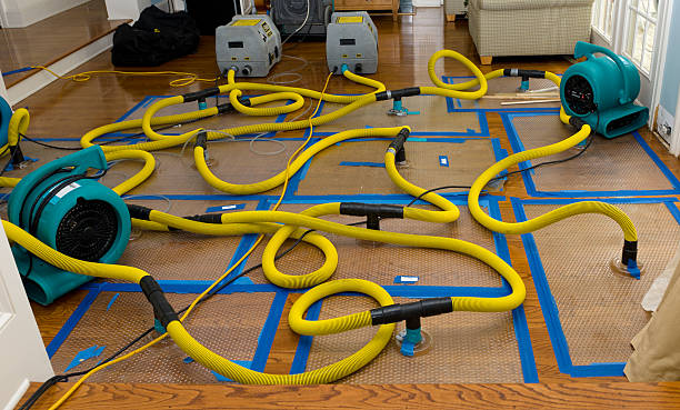 Professional Structural Drying And Dehumidification technician working in West Hills, CA